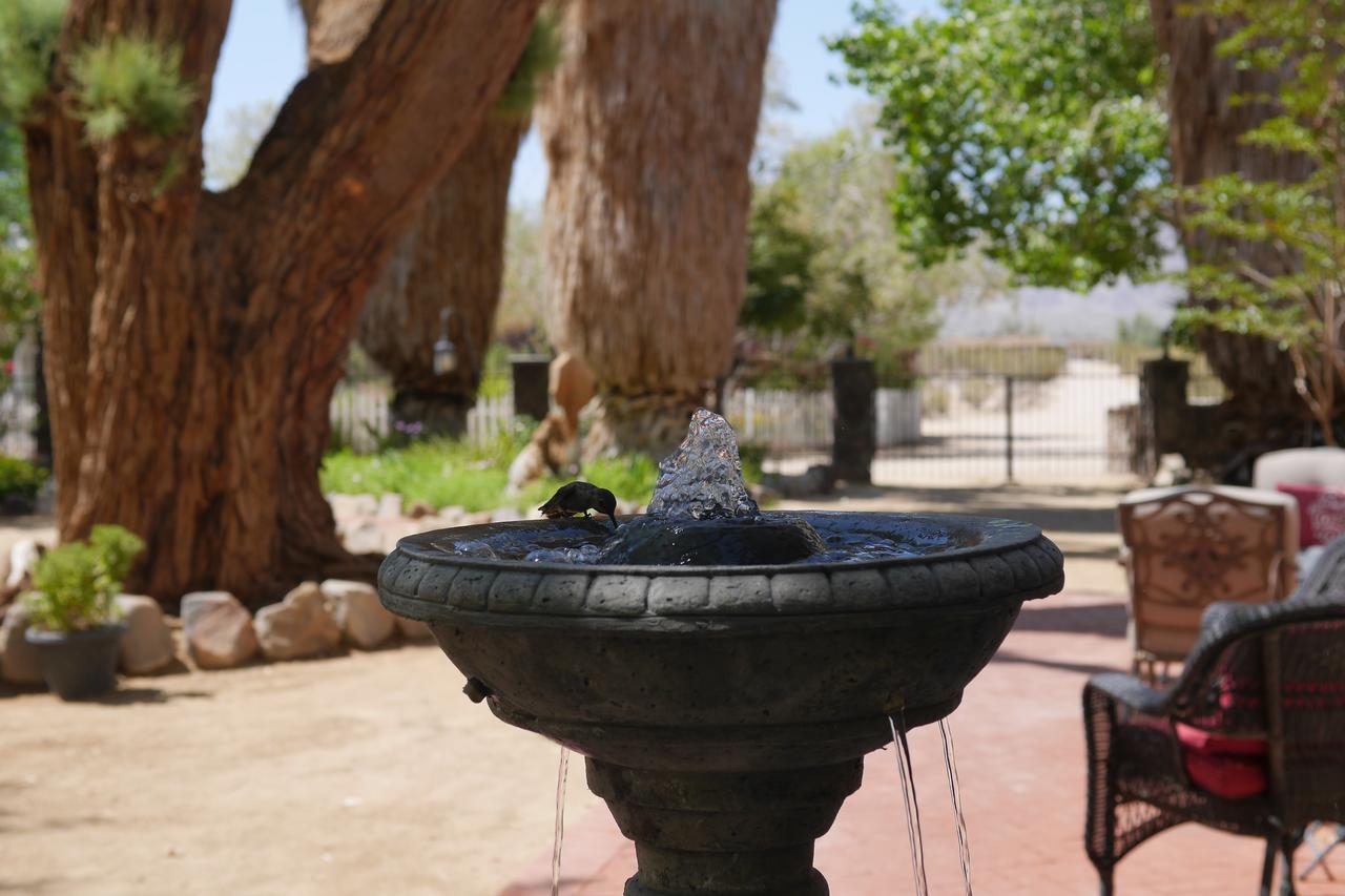 Campbell House Hotel Twentynine Palms Exterior photo