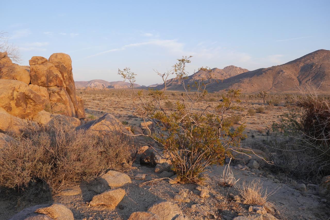 Campbell House Hotel Twentynine Palms Exterior photo